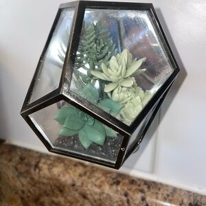 Bath and Body Works Wallflower Terrarium with Succulents